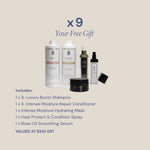 Large Introductory Pack