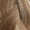 6/18 - Warm Light Brown/Dark Blonde Mix