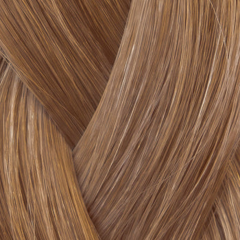 6 - Warm Light Brown
