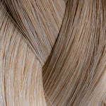 8/18 - Cool Light Brown/Dark Blonde Ombre