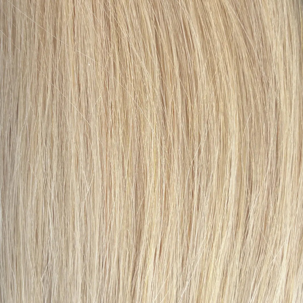 Sugar Cookie Blonde (26/27)