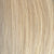 Sugar Cookie Blonde (26/27)