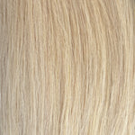 Sugar Cookie Blonde